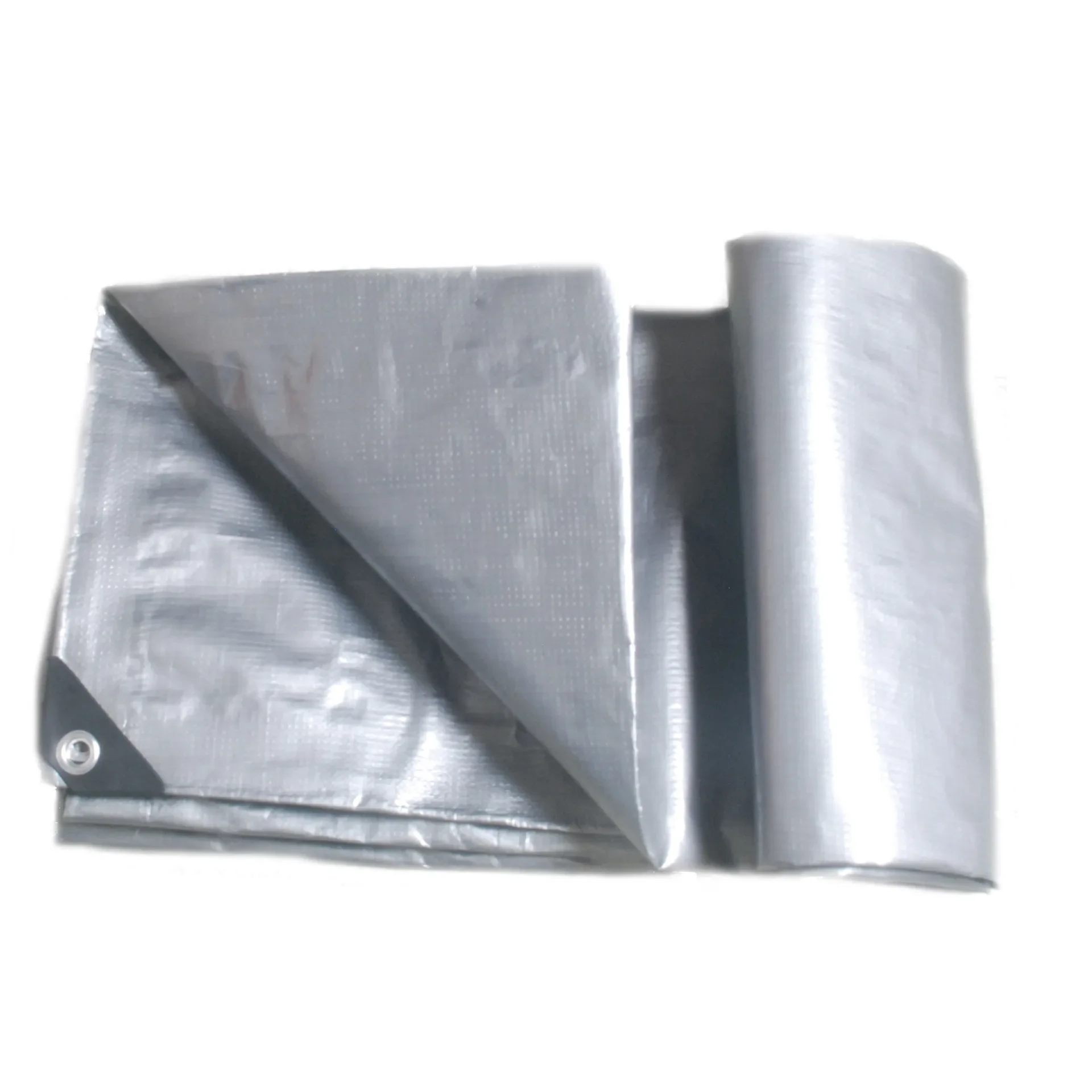 Plastic Tarp