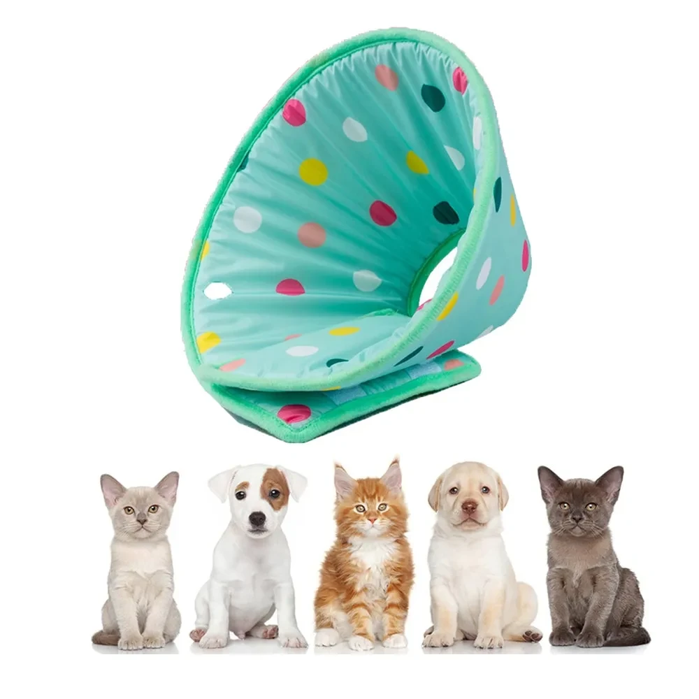 Anti Lick Collar