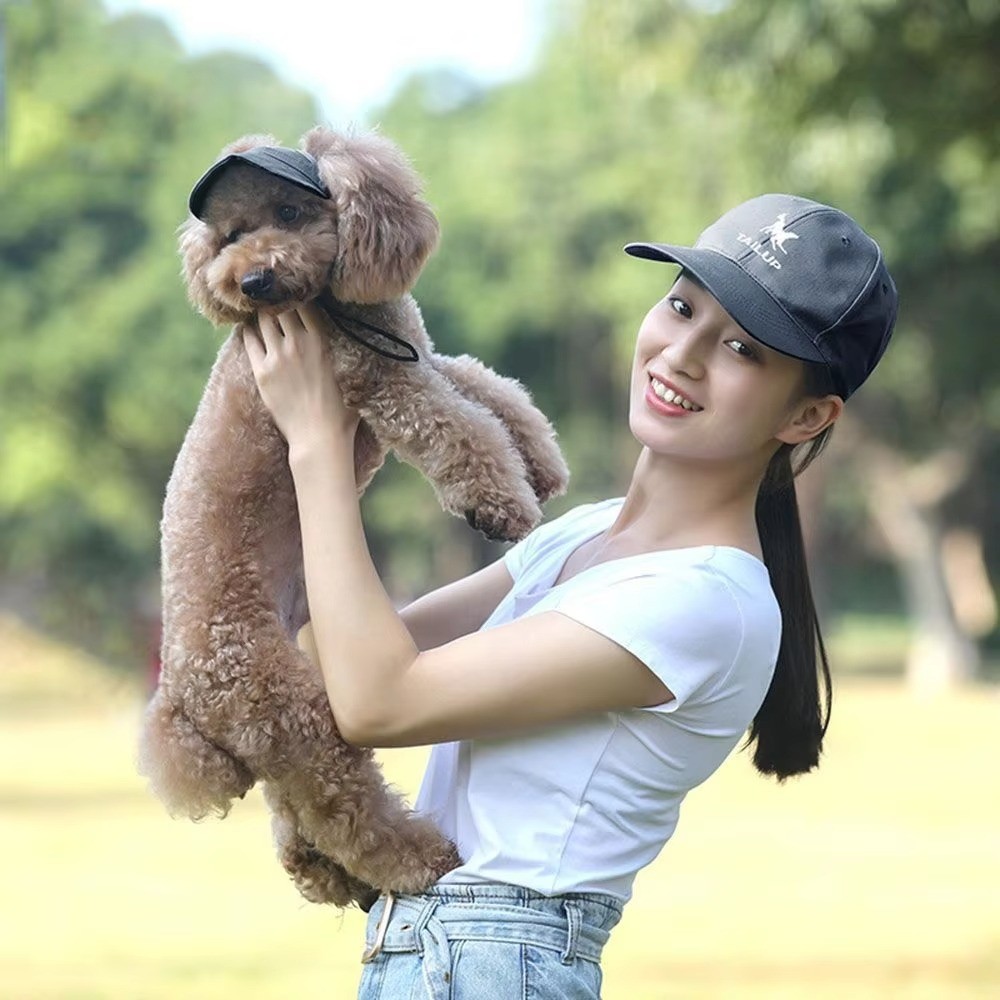 Outdoor Sun Protection Hood For Dogs