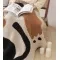 Tulip Blanket Class A Blanket Leisure Blanket Sofa