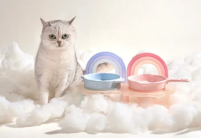 Rainbow Cat And Dog Bowl Rack Cute Pet Supplies