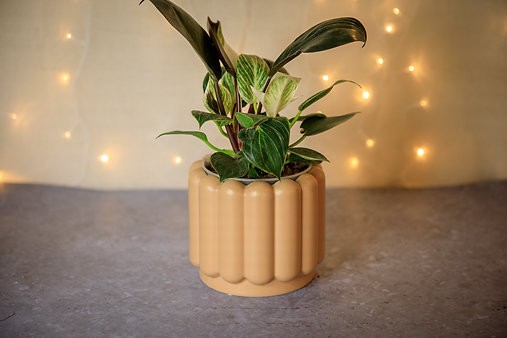 Vienna Cover Pot