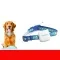 Kitten And Puppy IP65 Waterproof Remote Tracking