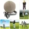 Swing Ball Replacement