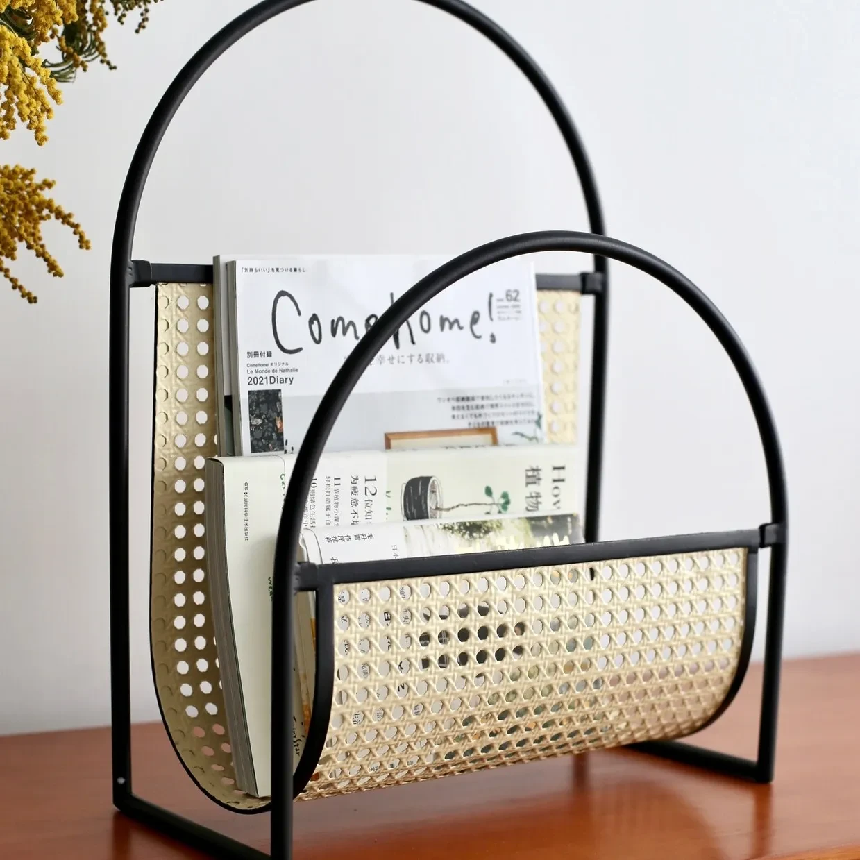 Retro Living Room Sofa Storage INS Cafe Magazine Rack
