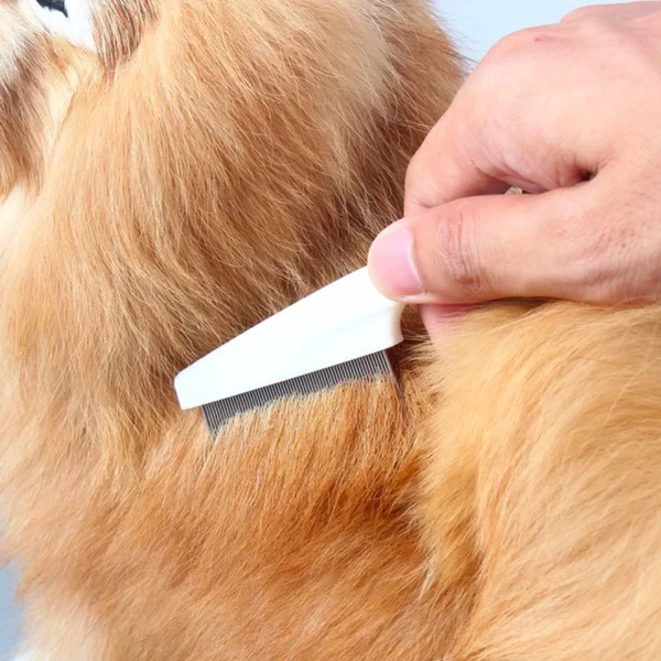 DrPaws Flea Comb