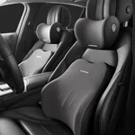 Car headrest lumbar support suit