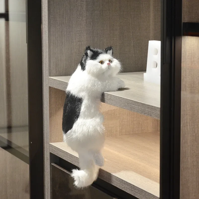 Doll Cat