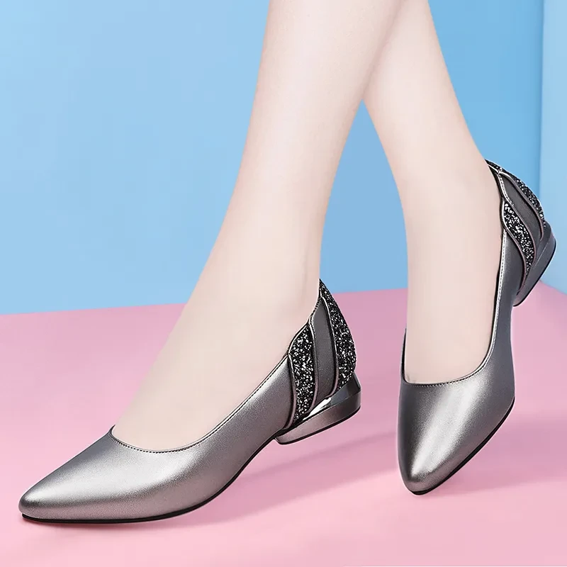 Elegant Shoes with Low Heels