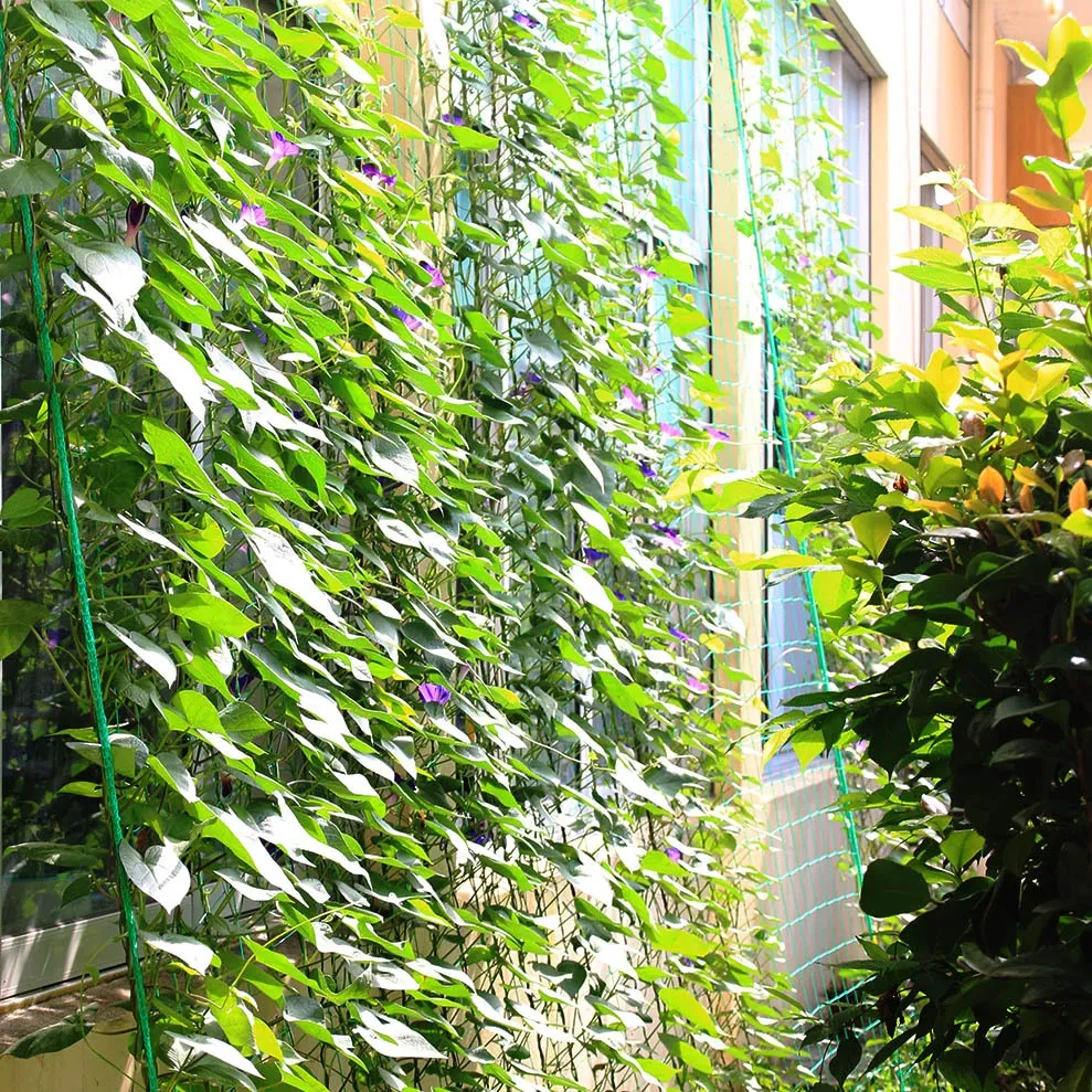 Trellis Netting