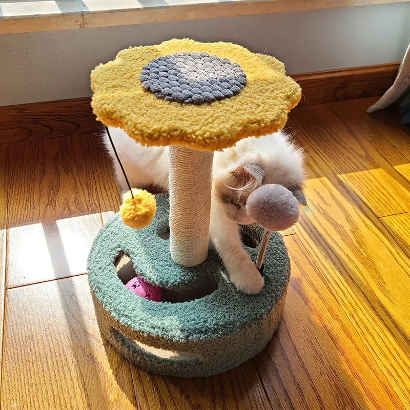 Cat Toys
