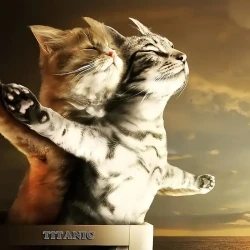 Whimsical Cat Canvas Art Print 30.48x30.48 cm
