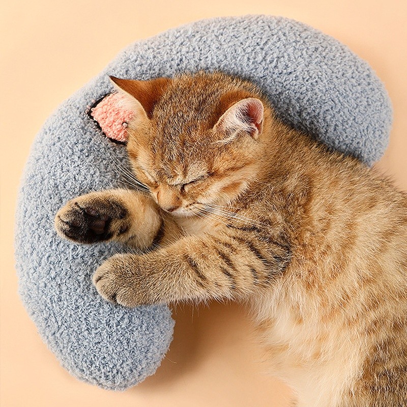 Dog Pillow