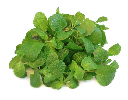Mint