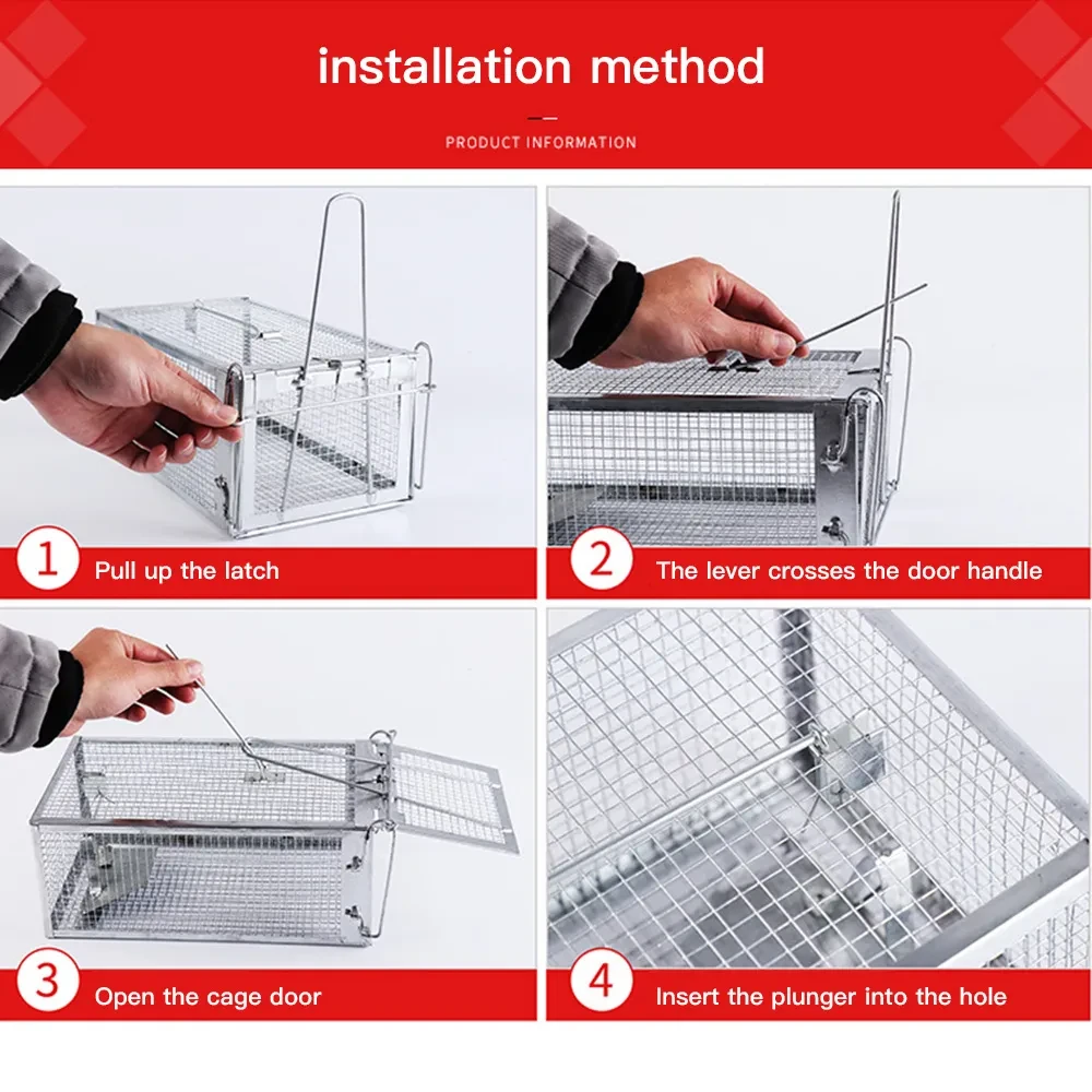 Mouse Trap