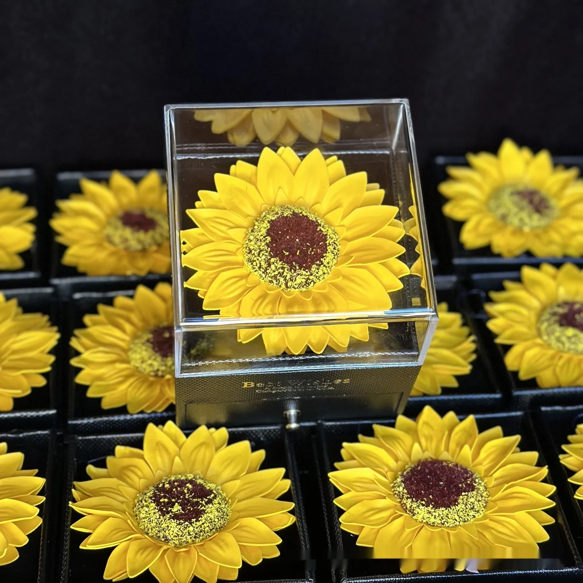 Acrylic Flower Box with Holes